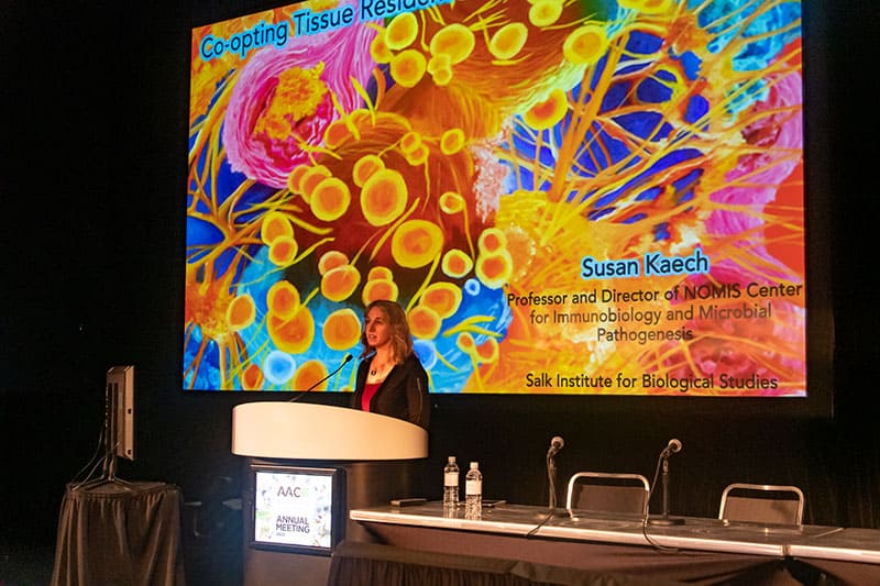 Dr. Susan Kaech at AACR22. Photo by Arthur Brodsky