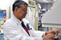 Pramod Srivastava in the lab