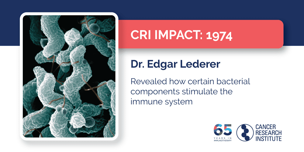1974 Dr. Edgar Lederer revealed how certain bacterial components stimulate the immune system