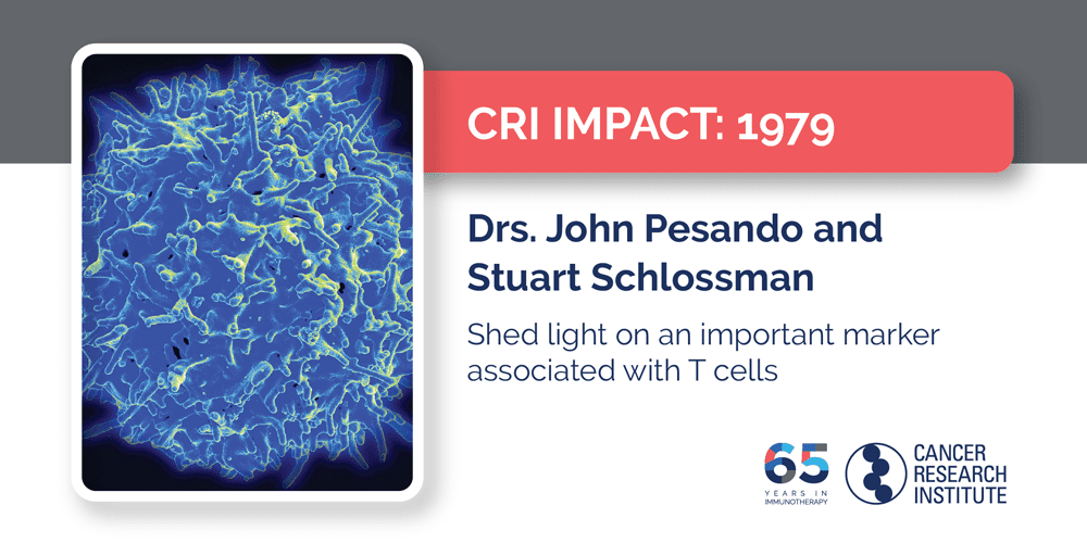 1979 Drs. John Pesando and Stuart Schlossman  Shed light on an important marker associated with T cells