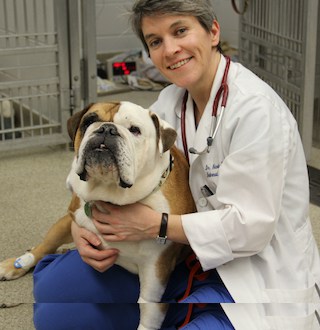 Dr Nicola Mason with patient dog