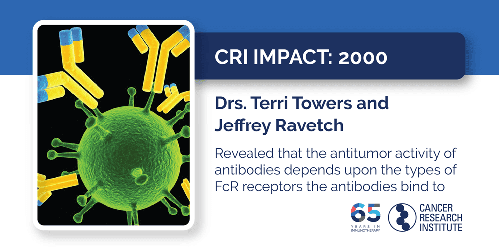 2000 Drs. Terris Towers and Jeffrey Ravetch  Revealed that the antitumor activity of antibodies depends upon the types of FcR receptors the antibodies bind to