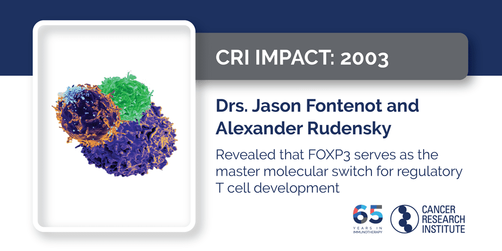 2003 Drs. Jason Fontenot and Alexander Rudensky revealed that FOXP3 serves as the master molecular switch for regulatory T cell development