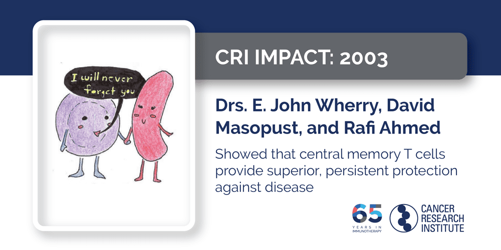 2003 Drs. E. John Wherry, David Masopust, and Rafi Ahmed showed that central memory T cells provide superior, persistent protection against disease