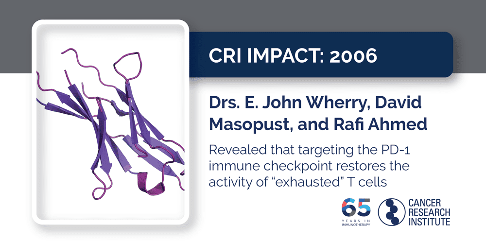 2006 Drs. E. John Wherry, David Masopust, and Rafi Ahmed revealed that targeting the PD-1 immune checkpoint restores the activity of “exhausted” T cells