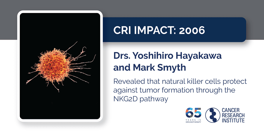 2006 Drs. Yoshihiro Hayakawa and Mark Smyth revealed that natural killer cells protect against tumor formation through the NKG2D pathway