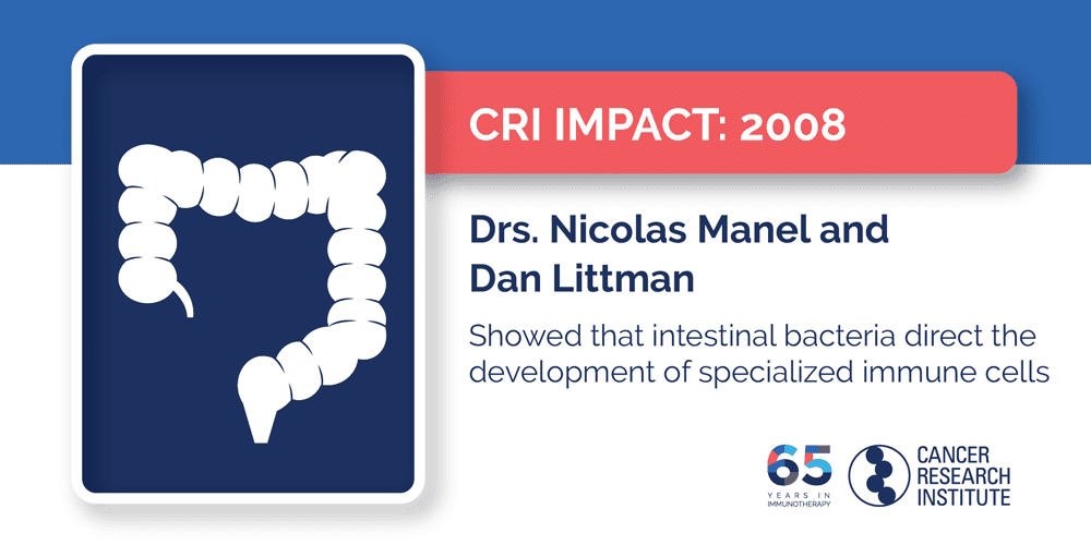 2008 Drs. Nicolas Manel and Dan Littman showed that intestinal bacteria direct the development of specialized immune cells