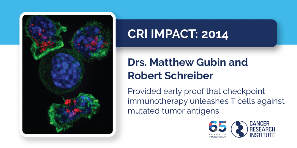 2014 Drs. Matthew Gubin and Robert Schreiber provided early proof that checkpoint immunotherapy unleashes T cells against mutated tumor antigens