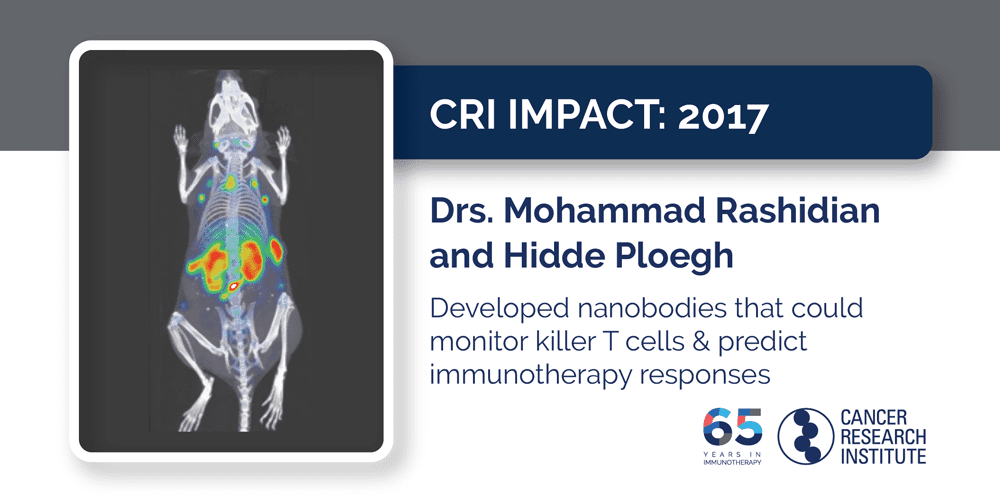 2017 Drs. Mohammad Rashidian and Hidde Ploegh developed nanobodies that enabled them to monitor “killer” T cells and predict immunotherapy responses