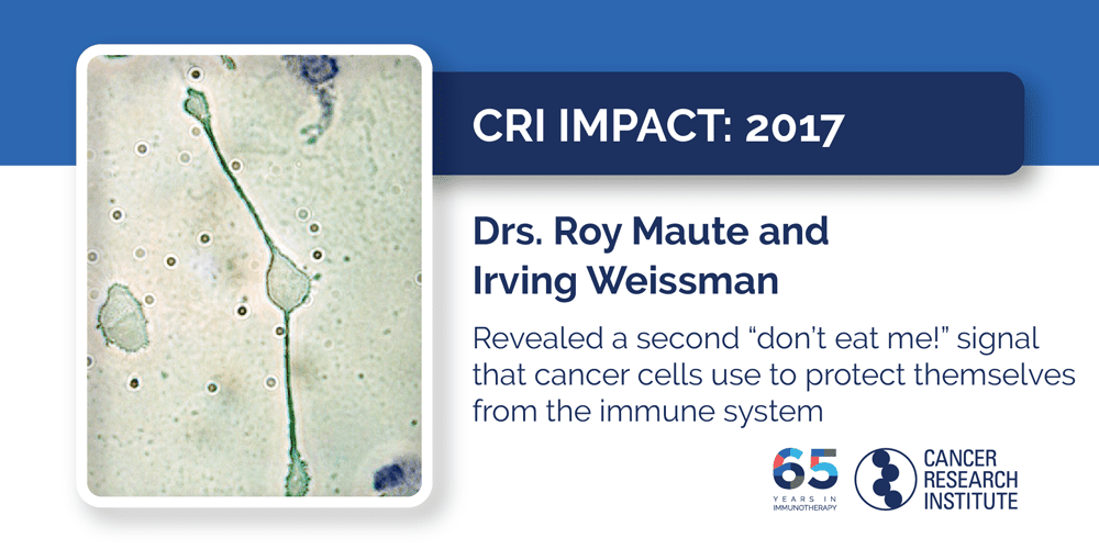 2017 Drs. Roy Maute and Irving Weissman revealed a second “don’t eat me!” signal that cancer cells use to protect themselves from the immune system