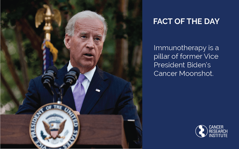 Immunotherapy is a pillar of former Vice President Biden’s Cancer Moonshot.