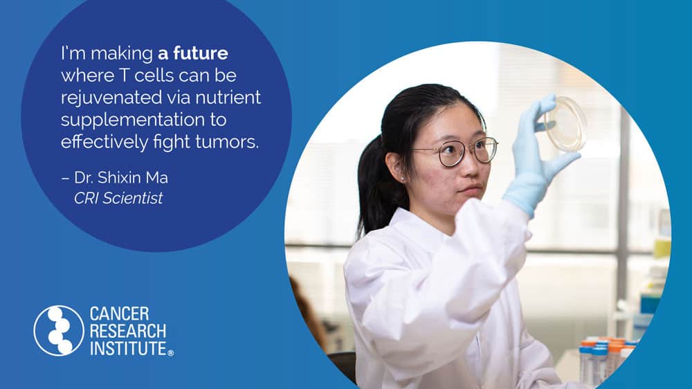 I'm making a future where T cells can be rejuvenated via nutrient supplementation to fight tumors effectively. -Dr Shixin Ma, CRI Scientist