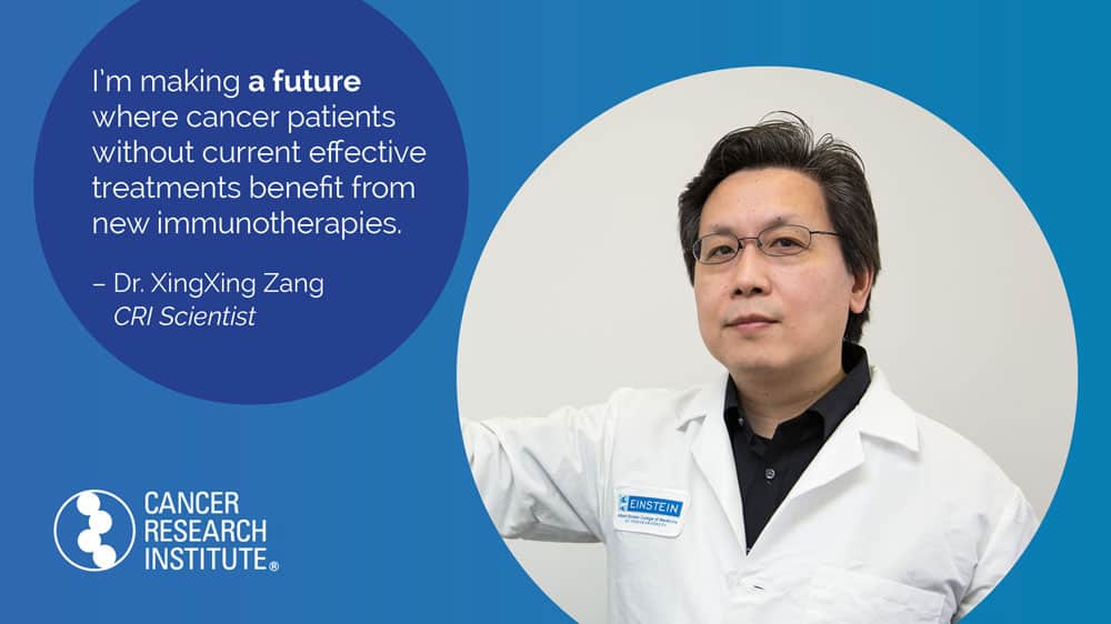 I'm making a future where cancer patients without current effective treatments benefit from new immunotherapies. -Dr. XingXing Zang, CRI Scientist
