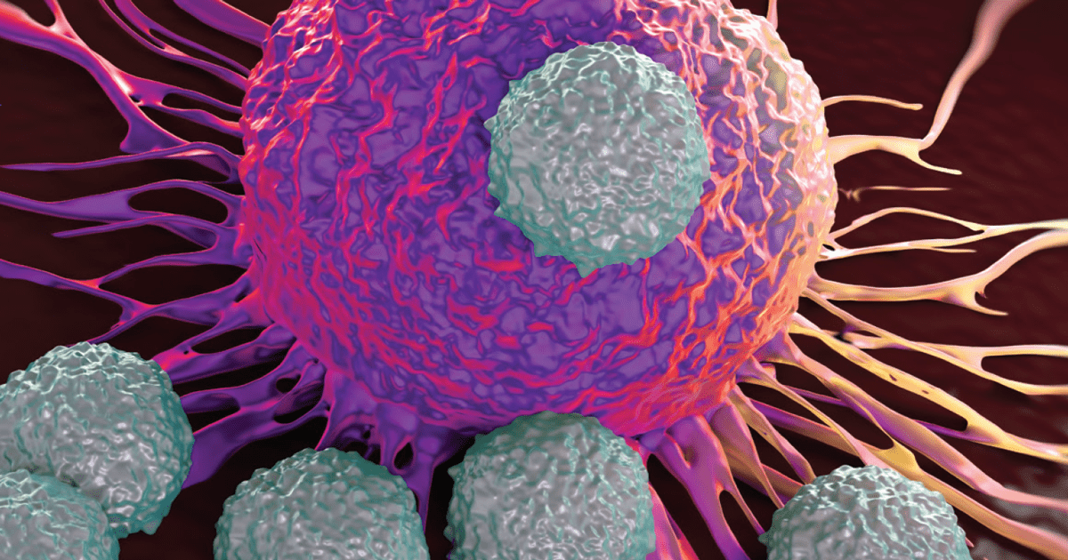 Frontiers in Cancer Immunotherapy 2022