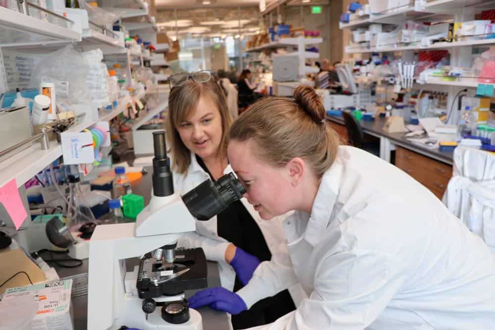 Amanda Lund, PhD, in her lab at Oregon Health and Science University