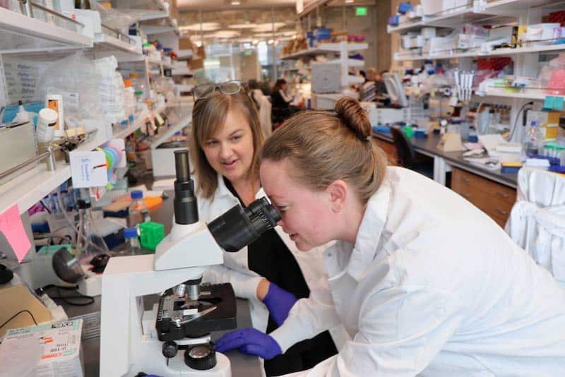 Amanda Lund, PhD, of the Perlmutter Cancer Center at NYU Langone Health