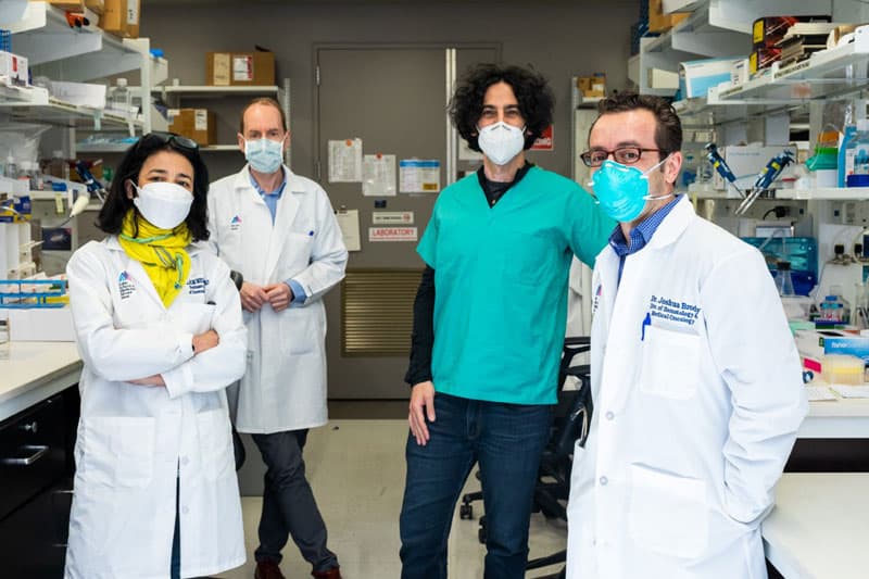 The team at the Precision Immunology Institute at Mount Sinai has been tackling both cancer and COVID-19. Left-to-right: Miriam Merad, MD, PhD; Sacha Gnjatic, PhD; Brian D. Brown, PhD; Joshua D. Brody, MD Photo courtesy of Brian Brown