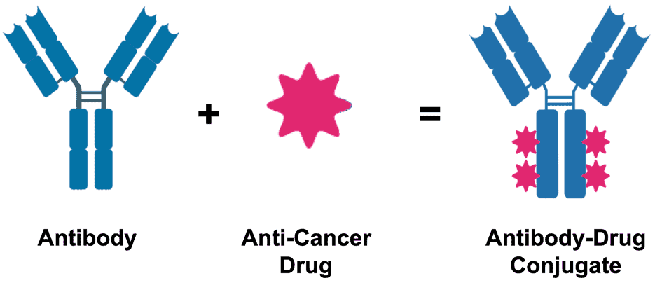 Antibody-Drug Conjugates illustration
