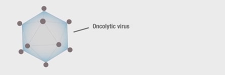 Oncolytic virus illustration