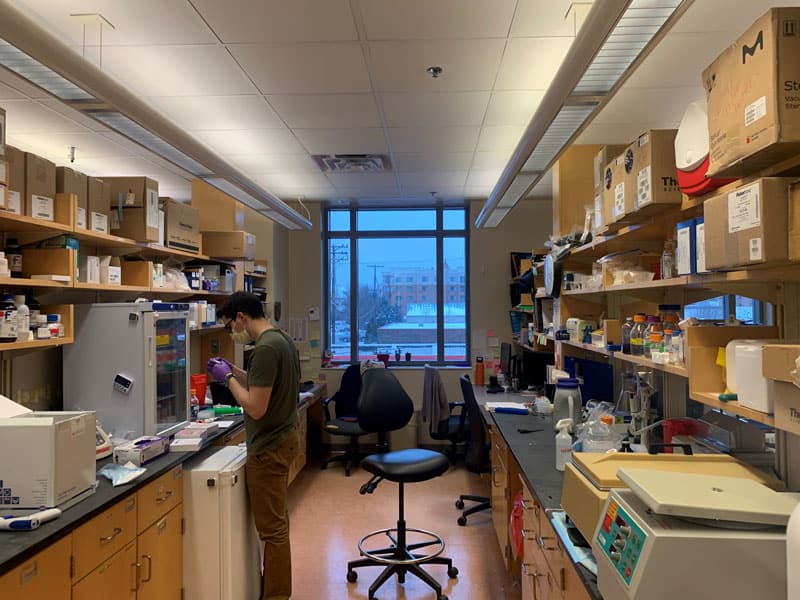 Delgoffe Lab at the University of Pittsburgh