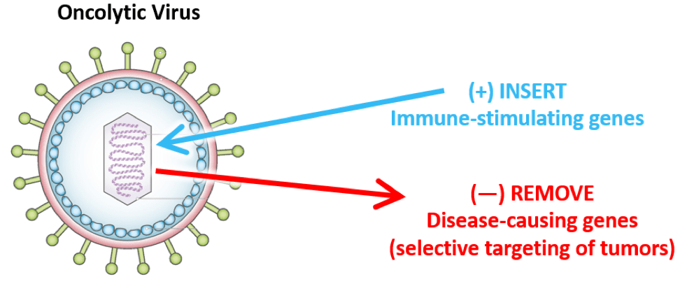 Oncolytic virus illustration