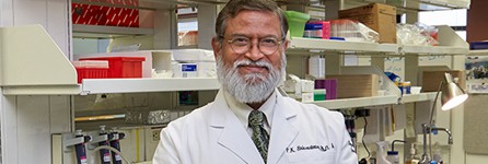 Pramod K. Srivastava, MD, PhD