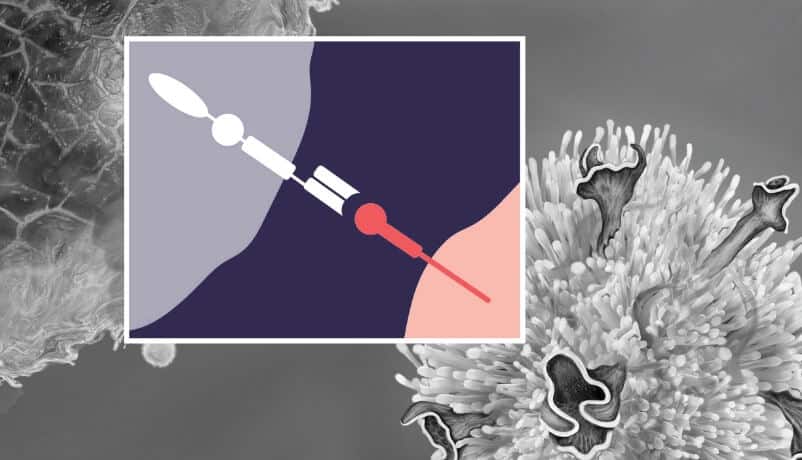 microscopic image with illustration overlay of adoptive cell therapy