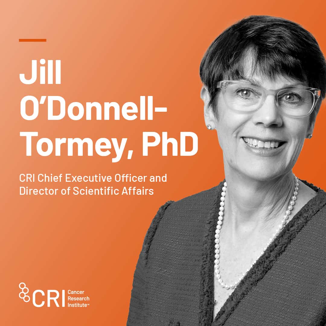 Jill O'Donnell-Tormey, PhD, Woman's History Month