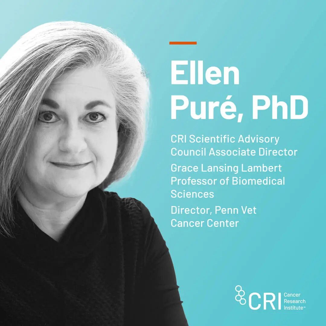 Ellen Pure, PhD