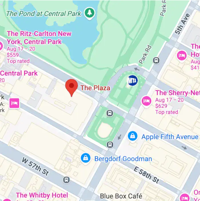 Google map screengrab of The Plaza