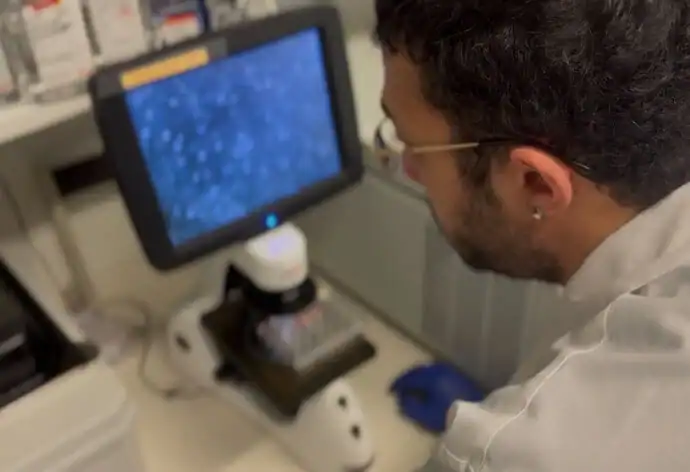 person in lab studies electronic microscope screen