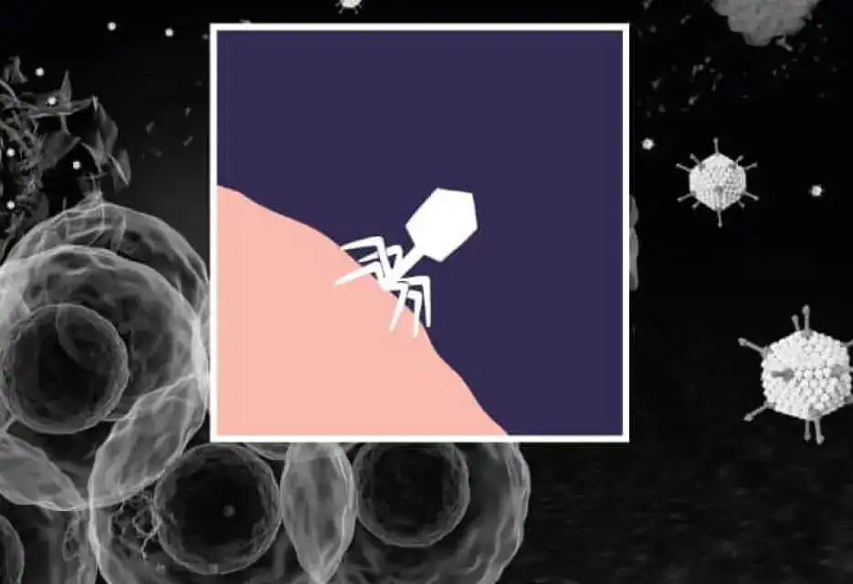 Oncolytic virus therapy